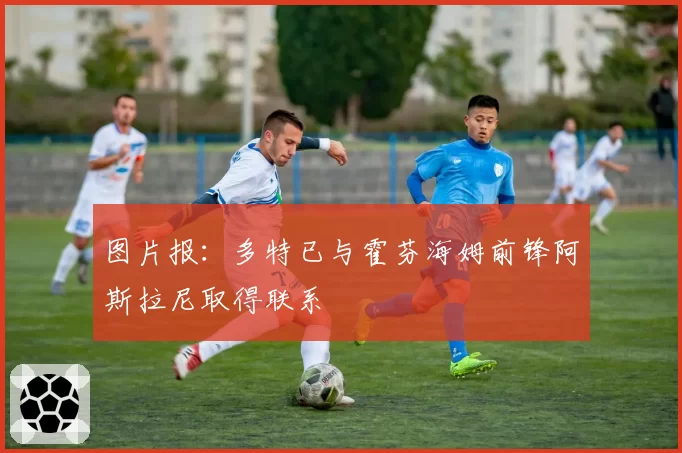 图片报：多特已与霍芬海姆前锋阿斯拉尼取得联系