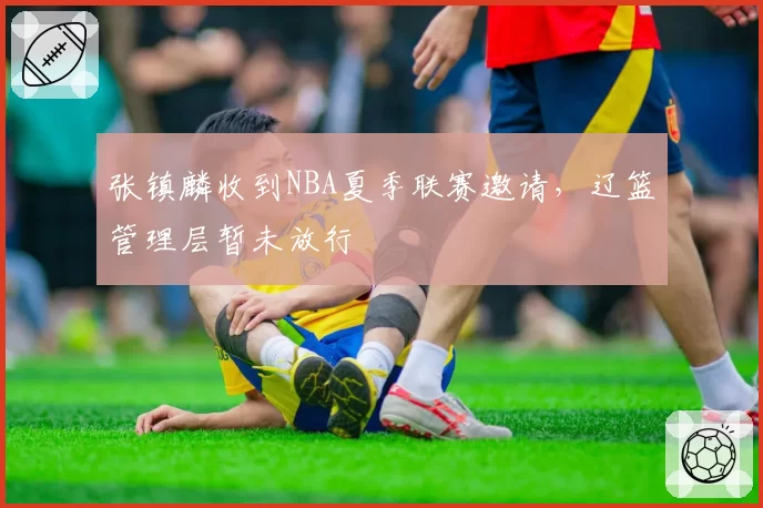 张镇麟收到NBA夏季联赛邀请,辽篮管理层暂未放行