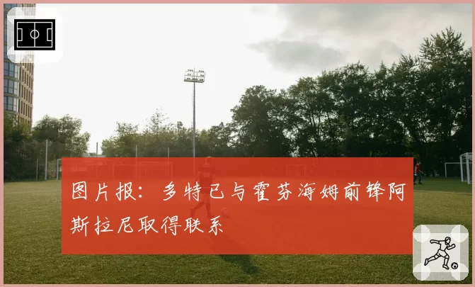 图片报：多特已与霍芬海姆前锋阿斯拉尼取得联系